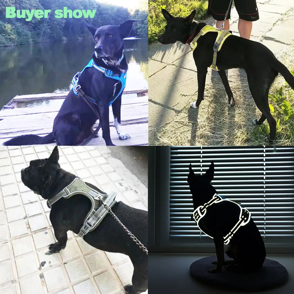 Top-Grade Dog Harness