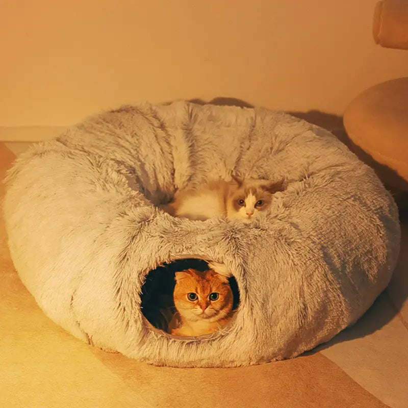 2 In One Cat Beds House