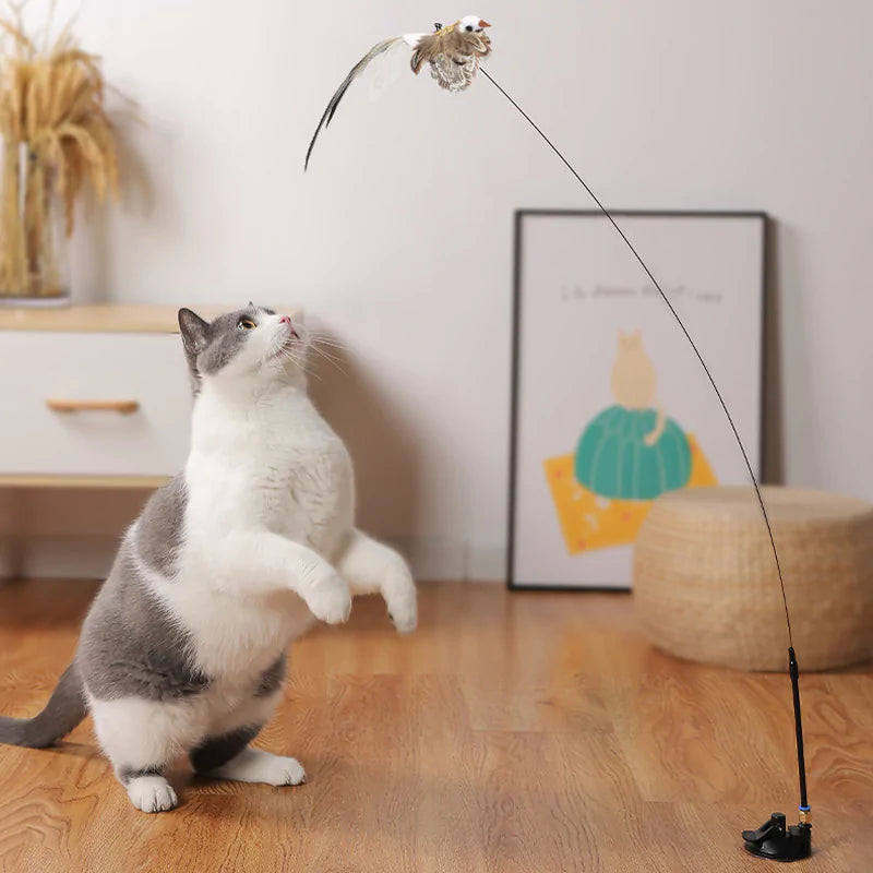 Fun Bird Toy For Cat