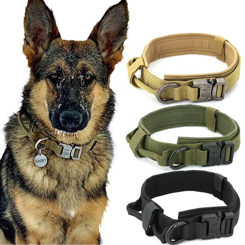 High Quality Dog Collar