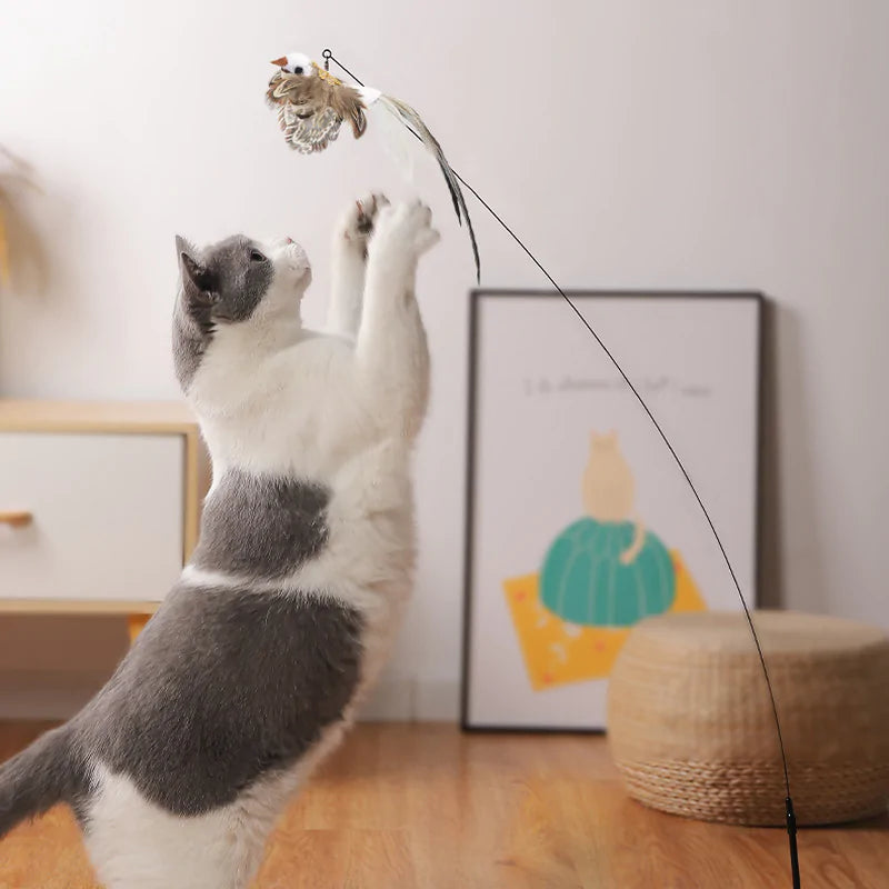 Fun Bird Toy For Cat